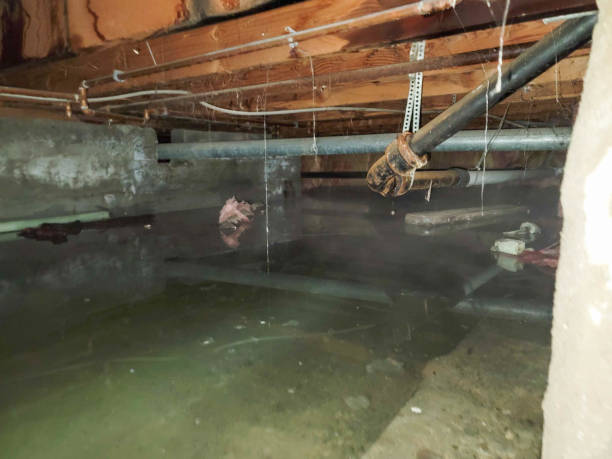 Best Basement water damage restoration  in Haskell, TX