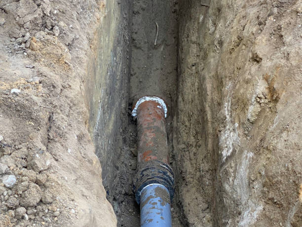 Best Professional water damage repair  in Haskell, TX
