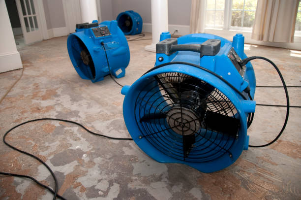 Best Basement water damage restoration  in Haskell, TX