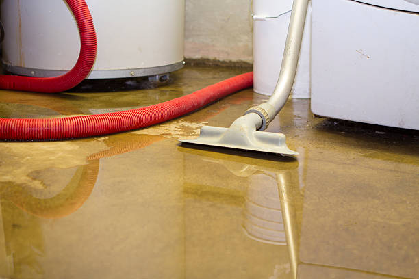 Best Mold removal after water damage  in Haskell, TX